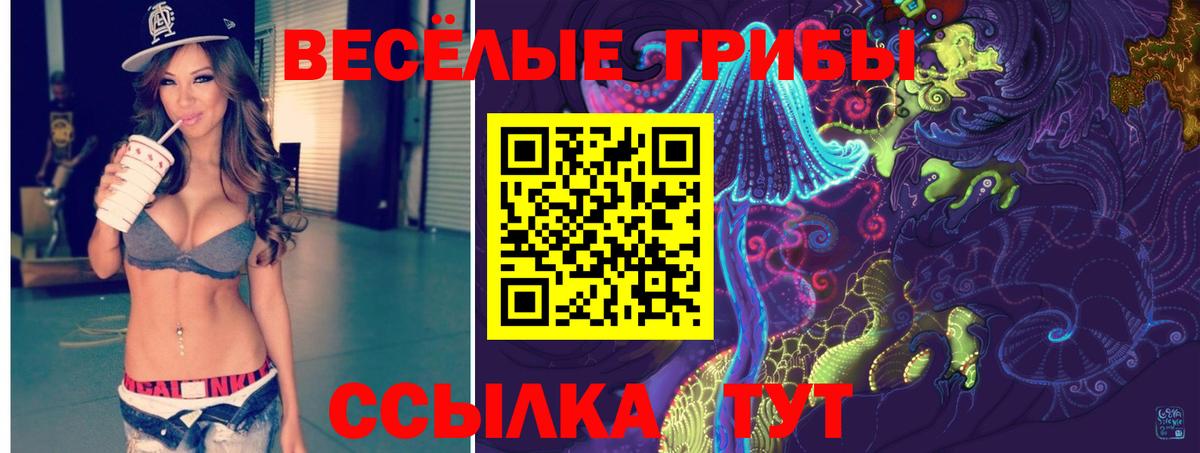 Псилоцибиновые грибы Psilocybe  Вход с VPN  Галлюциногенные грибы ЛСД  Кириши 